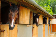 free Ludlow stable construction quotes